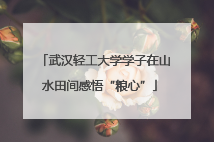 武汉轻工大学学子在山水田间感悟“粮心”