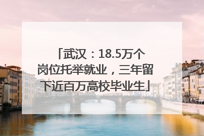 武汉：18.5万个岗位托举就业，三年留下近百万高校毕业生