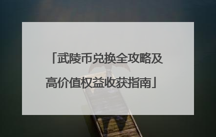 武陵币兑换全攻略及高价值权益收获指南