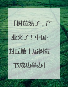 树莓熟了，产业火了！中国·封丘第十届树莓节成功举办