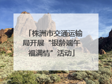 株洲市交通运输局开展“银龄端午福满情”活动