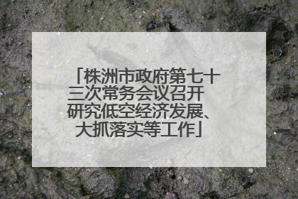 株洲市政府第七十三次常务会议召开 研究低空经济发展、大抓落实等工作