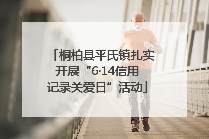 桐柏县平氏镇扎实开展“6·14信用记录关爱日”活动