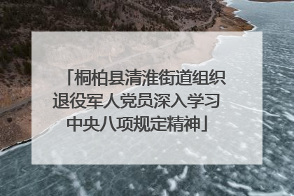 桐柏县清淮街道组织退役军人党员深入学习中央八项规定精神