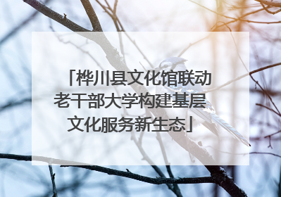 桦川县文化馆联动老干部大学构建基层文化服务新生态