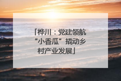 桦川：党建领航“小香瓜”撬动乡村产业发展