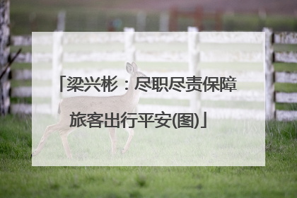 梁兴彬：尽职尽责保障旅客出行平安(图)