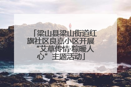 梁山县梁山街道红旗社区良嘉小区开展“艾草传情·粽暖人心”主题活动
