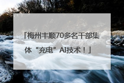 梅州丰顺70多名干部集体“充电”AI技术！