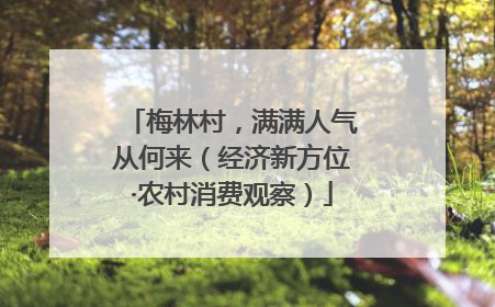 梅林村，满满人气从何来（经济新方位·农村消费观察）