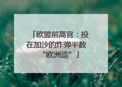 欧盟前高官：投在加沙的炸弹半数“欧洲造”