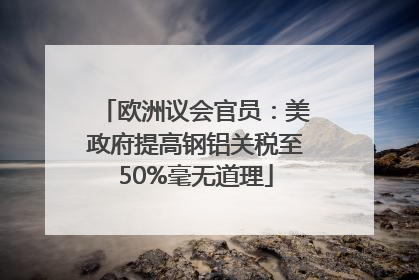 欧洲议会官员：美政府提高钢铝关税至50%毫无道理