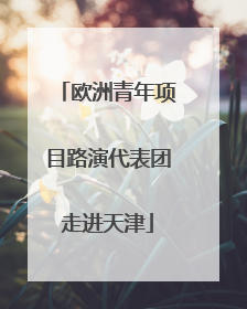 欧洲青年项目路演代表团走进天津