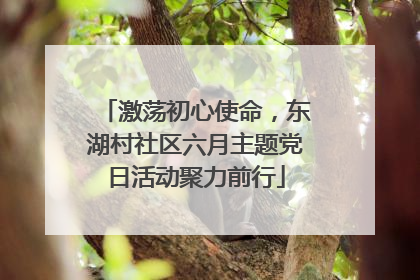 激荡初心使命，东湖村社区六月主题党日活动聚力前行