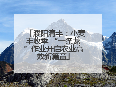 濮阳清丰：小麦丰收季 “一条龙”作业开启农业高效新篇章