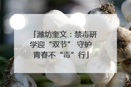 潍坊奎文：禁毒研学迎“双节” 守护青春不“毒”行