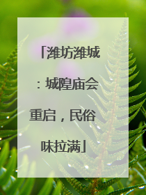 潍坊潍城：城隍庙会重启，民俗味拉满