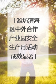 潍坊滨海区中外合作产业园安全生产月活动成效显著