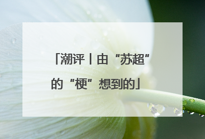 潮评丨由“苏超”的“梗”想到的