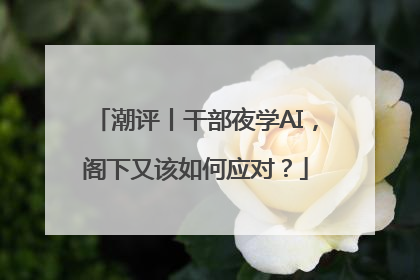 潮评丨干部夜学AI，阁下又该如何应对？