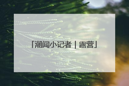 潮闻小记者｜露营