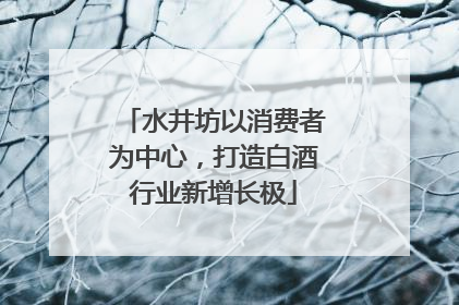 水井坊以消费者为中心，打造白酒行业新增长极