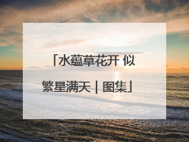 水蕴草花开 似繁星满天｜图集