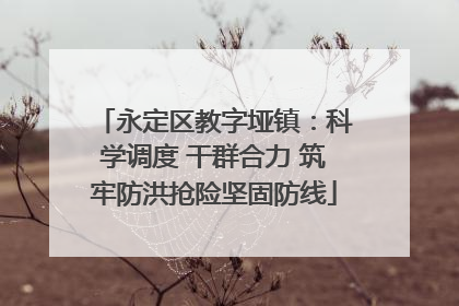 永定区教字垭镇：科学调度 干群合力 筑牢防洪抢险坚固防线