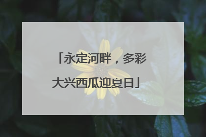 永定河畔，多彩大兴西瓜迎夏日