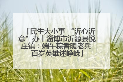 民生大小事 “沂心沂意”办丨淄博市沂源县悦庄镇：端午粽香暖老兵 百岁英雄述峥嵘