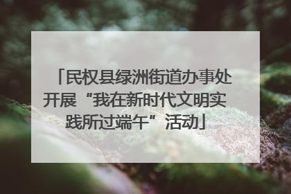 民权县绿洲街道办事处开展“我在新时代文明实践所过端午”活动