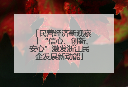 民营经济新观察丨“信心、创新、安心”激发浙江民企发展新动能