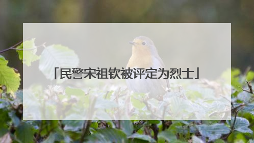 民警宋祖钦被评定为烈士