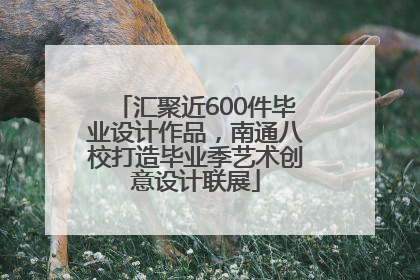 汇聚近600件毕业设计作品，南通八校打造毕业季艺术创意设计联展