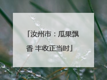 汝州市：瓜果飘香 丰收正当时