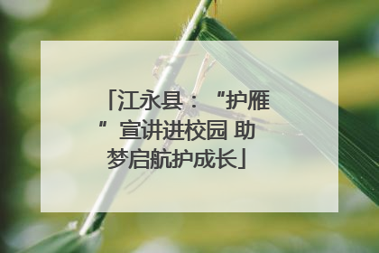 江永县：“护雁”宣讲进校园 助梦启航护成长