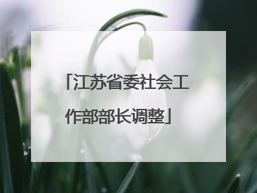 江苏省委社会工作部部长调整