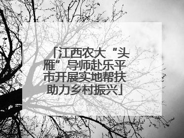 江西农大“头雁”导师赴乐平市开展实地帮扶助力乡村振兴