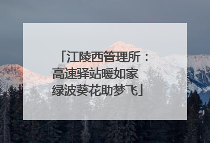 江陵西管理所：高速驿站暖如家 绿波葵花助梦飞