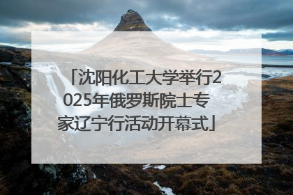 沈阳化工大学举行2025年俄罗斯院士专家辽宁行活动开幕式