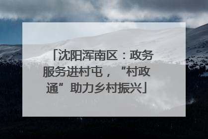 沈阳浑南区：政务服务进村屯，“村政通”助力乡村振兴