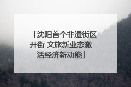 沈阳首个非遗街区开街 文旅新业态激活经济新动能