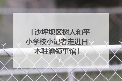 沙坪坝区树人和平小学校小记者走进日本驻渝领事馆