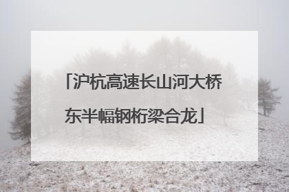 沪杭高速长山河大桥东半幅钢桁梁合龙