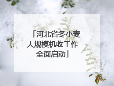 河北省冬小麦大规模机收工作全面启动