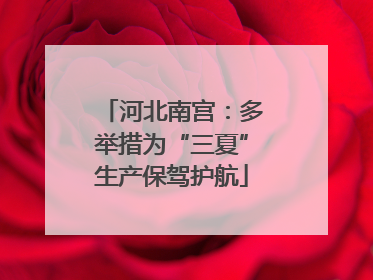 河北南宫：多举措为“三夏”生产保驾护航