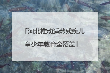 河北推动适龄残疾儿童少年教育全覆盖