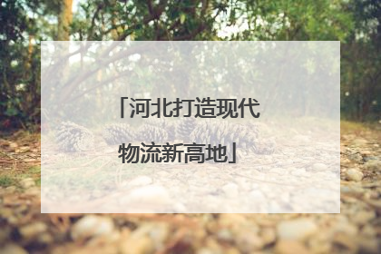 河北打造现代物流新高地