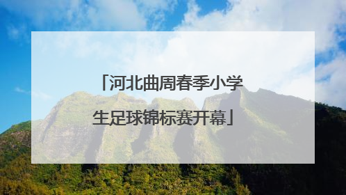 河北曲周春季小学生足球锦标赛开幕