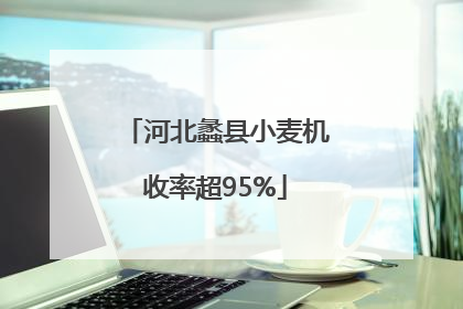 河北蠡县小麦机收率超95%